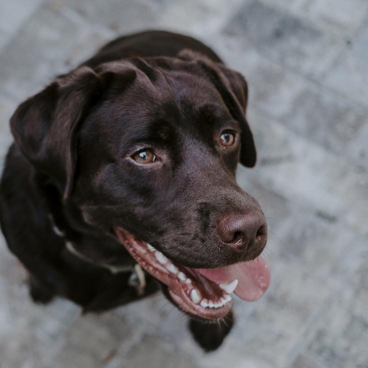 Jordan Patel, Client Relations Director, discussing corporate gifting strategy with business clients